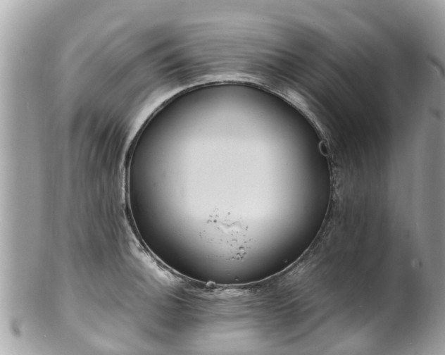 X0000100981140200807011437