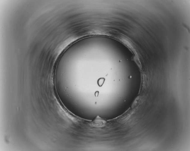 X0000100981141200807011437