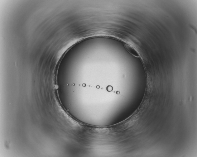 X0000100981142200807011437