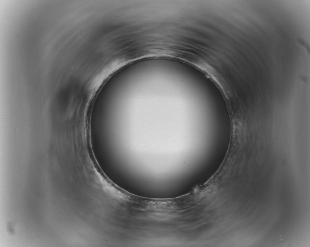 X0000100981143200807011437