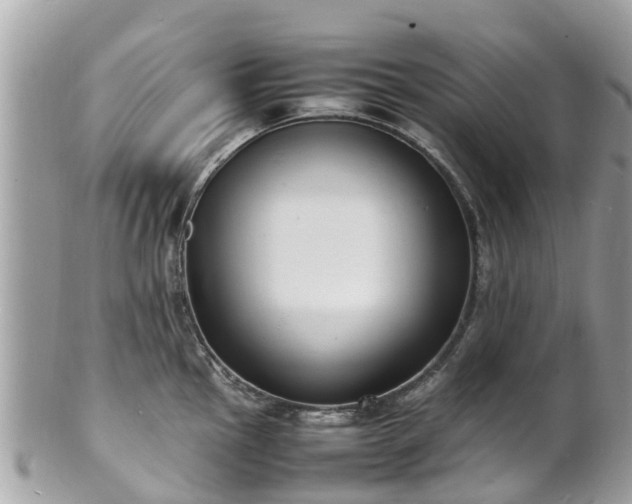 X0000100981145200807011437