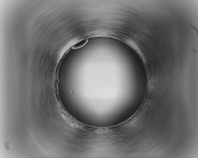 X0000100981146200807011437