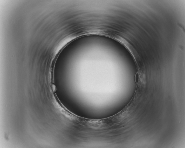 X0000100981147200807011438