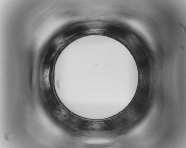 X0000100981150200807011438