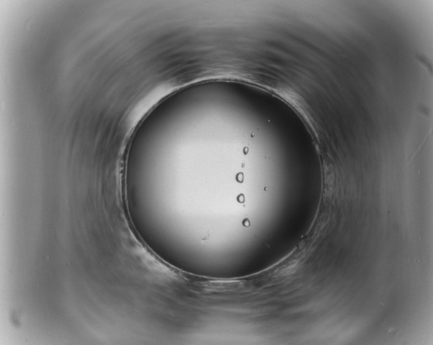 X0000100981151200807011438