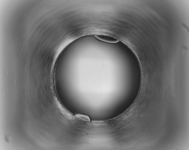 X0000100981152200807011438