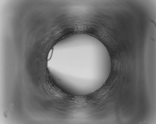 X0000100981153200807011437