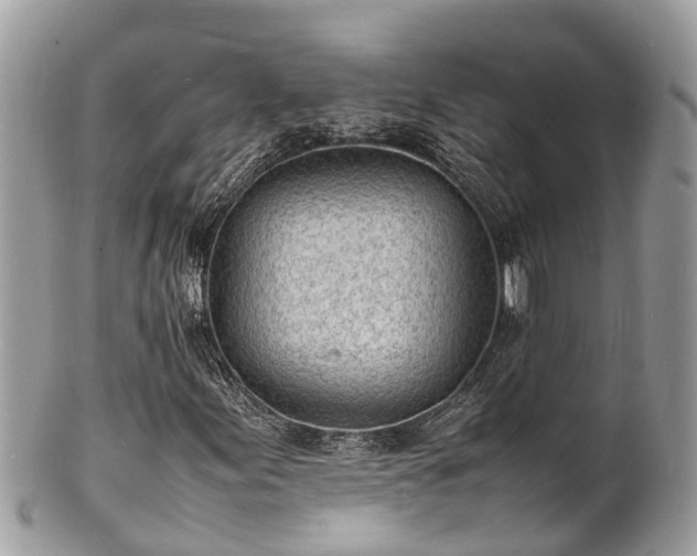 X0000100981155200807011437