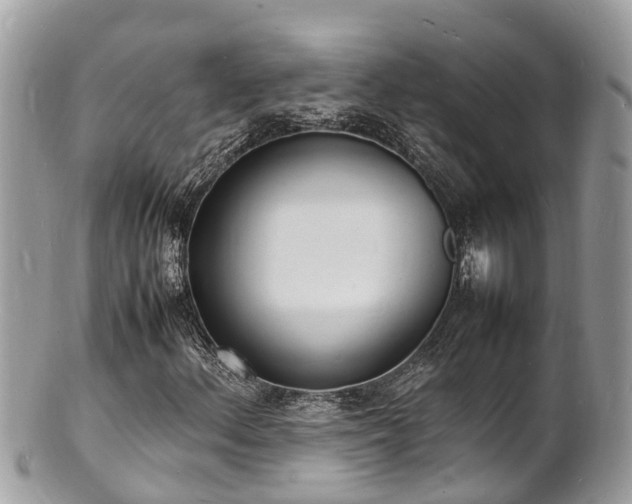 X0000100981156200807011437