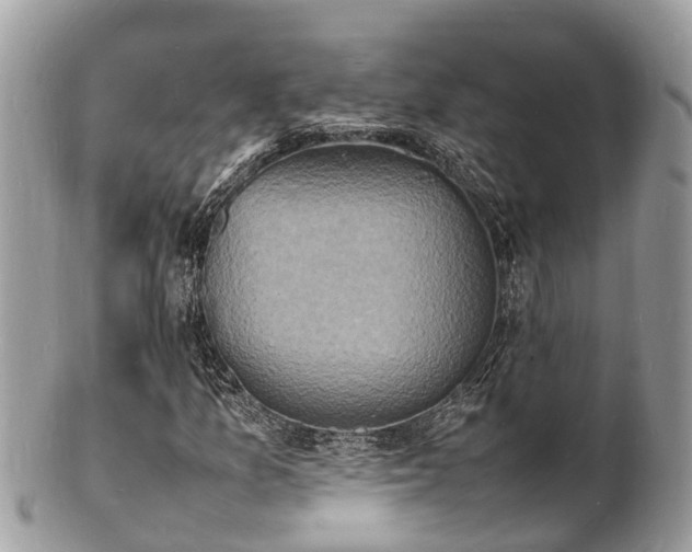 X0000100981157200807011437