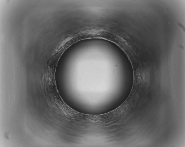 X0000100981158200807011437