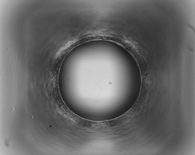 X0000100981159200807011437