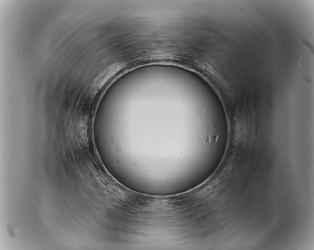 X0000100981162200807011437