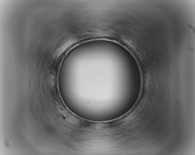 X0000100981163200807011437