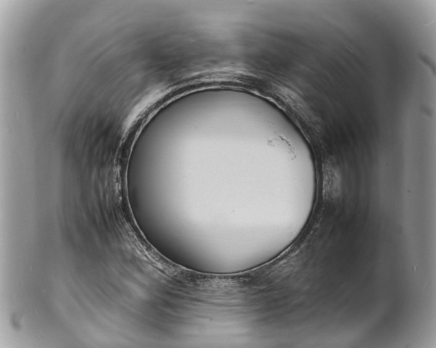 X0000100981164200807011436