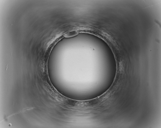 X0000100981165200807011436