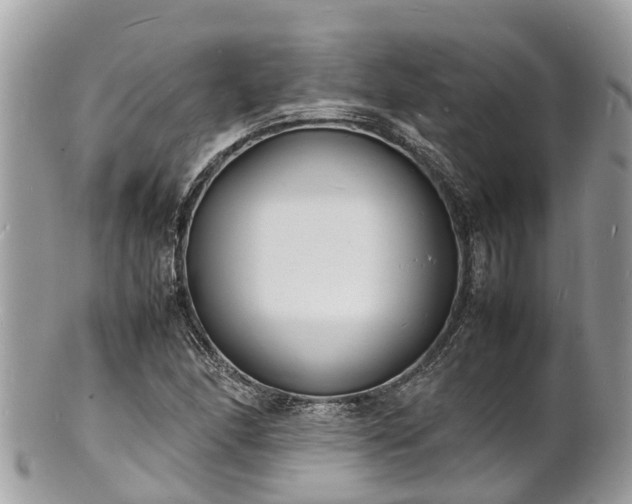 X0000100981166200807011436