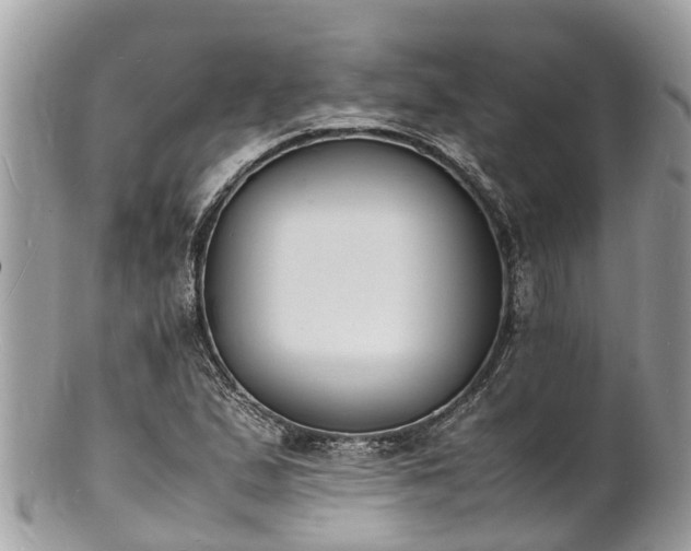 X0000100981167200807011436