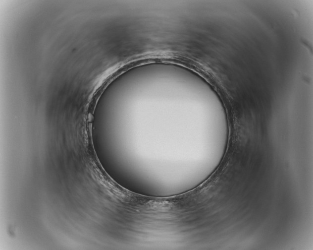 X0000100981168200807011436