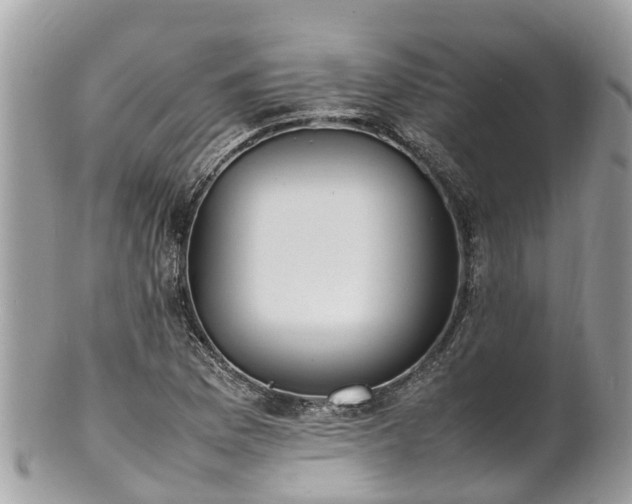 X0000100981169200807011436