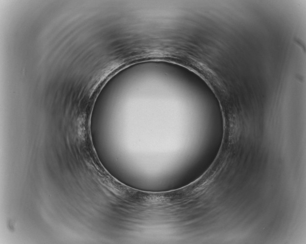 X0000100981170200807011436