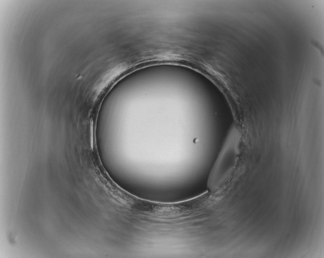 X0000100981171200807011436