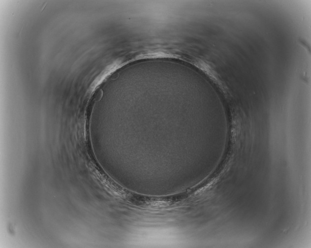 X0000100981173200807011436