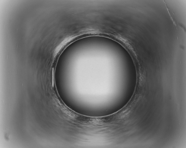 X0000100981175200807011436