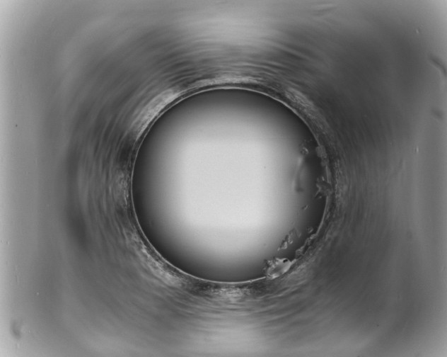 X0000100981177200807011436