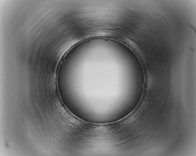 X0000100981178200807011436