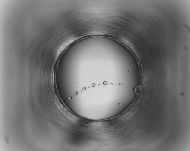 X0000100981179200807011436