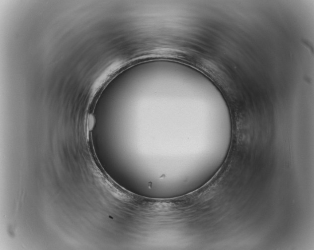 X0000100981180200807011436