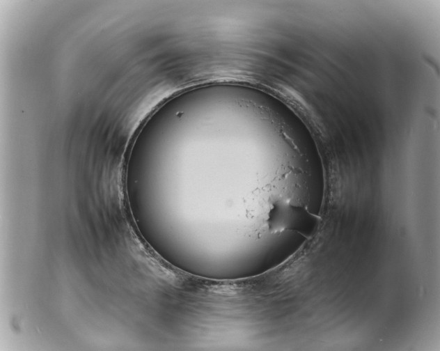 X0000100981182200807011436