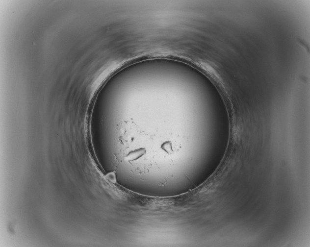 X0000100981183200807011436