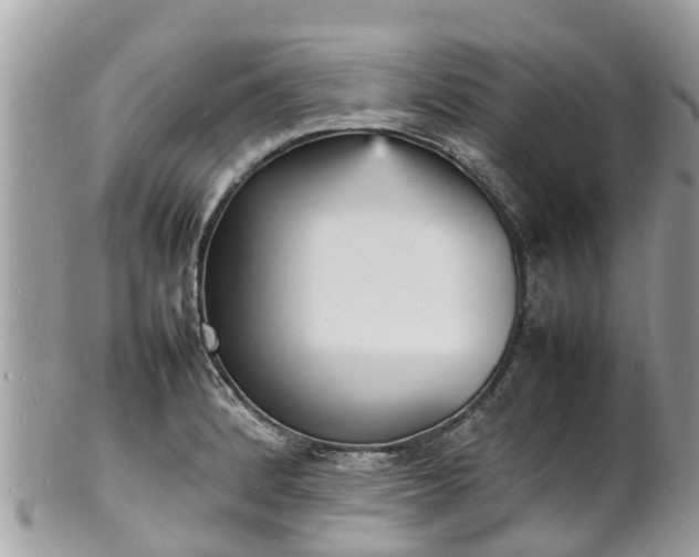 X0000100981184200807011436