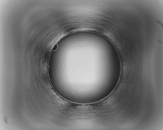 X0000100981185200807011436