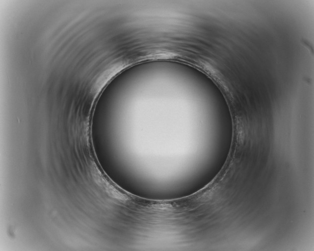 X0000100981186200807011436