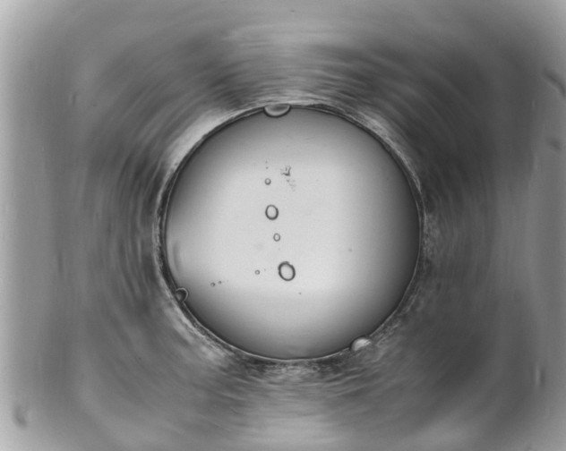 X0000100981187200807011436