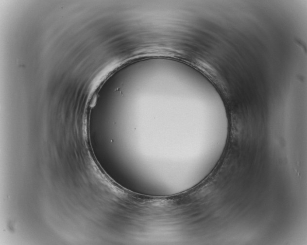 X0000100981188200807011436