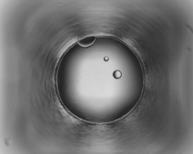 X0000100981189200807011436