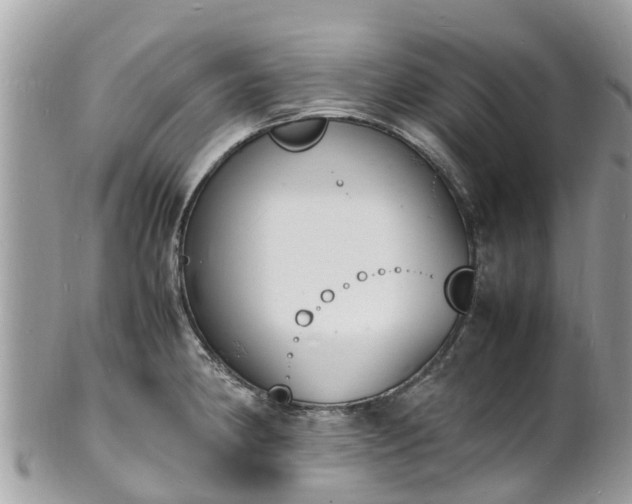 X0000100981190200807011436