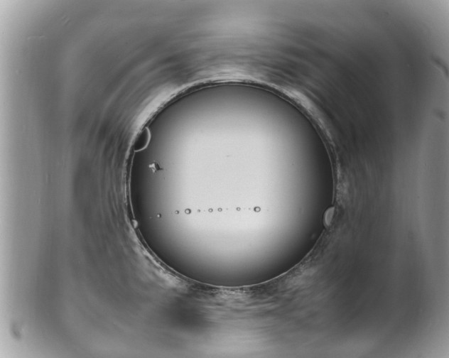 X0000100981191200807011436