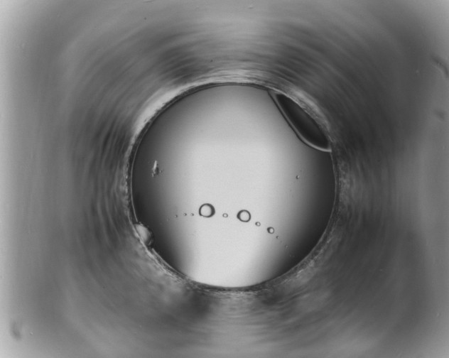 X0000100981192200807011436