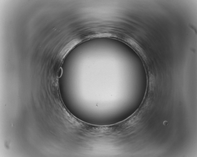 X0000100981193200807011436