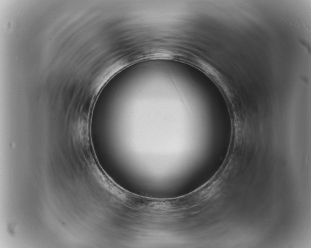 X0000100981194200807011436