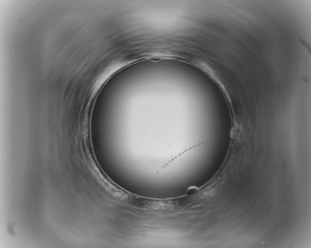 X0000100981195200807011436