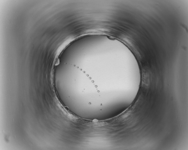 X0000100981196200807011436