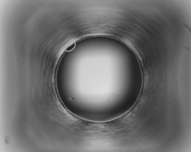 X0000100981197200807011436