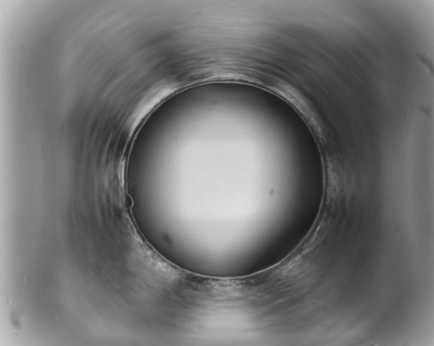 X0000100981198200807011436