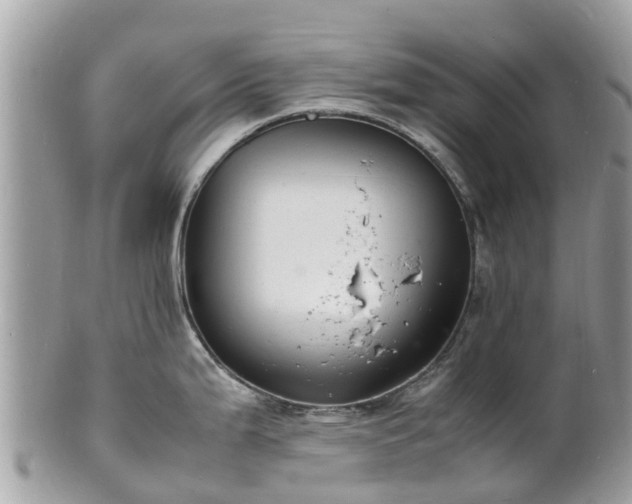 X0000100981199200807011436